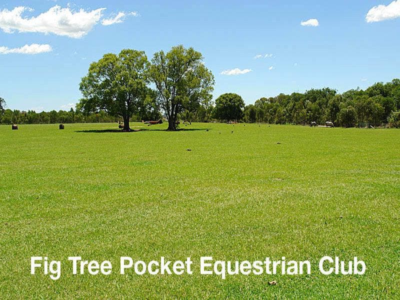 15/33 Kimberley Street, Vaucluse, Fig Tree Pocket - Thumbnail 4