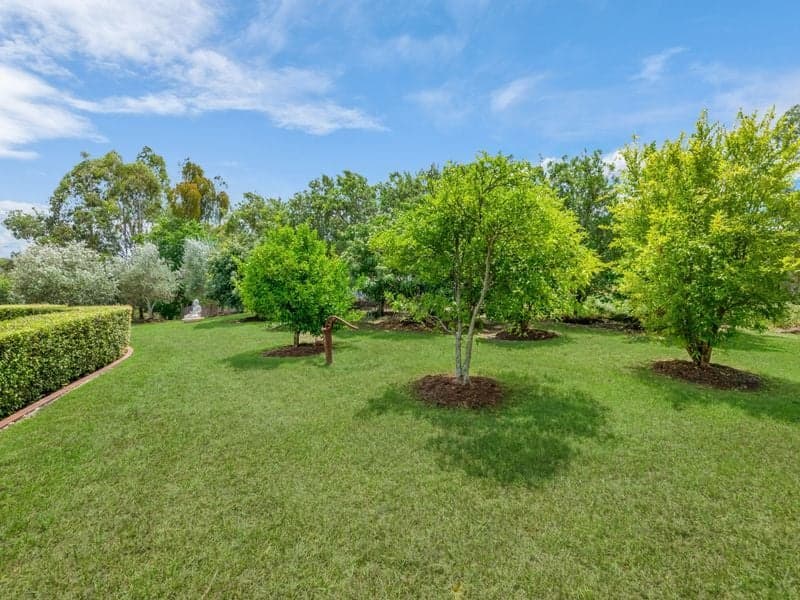 25/157 Blair Street, North Bondi, Pullenvale - Thumbnail 6