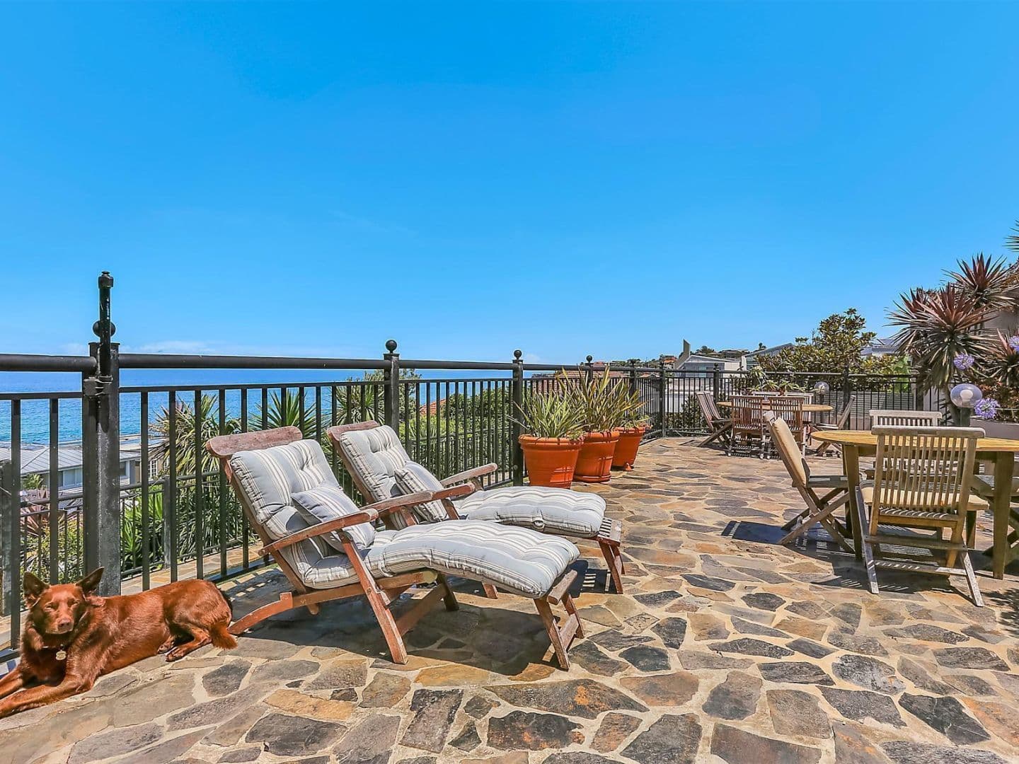16 Thompson Street Tamarama Nsw undefined, Tamarama - Image 1
