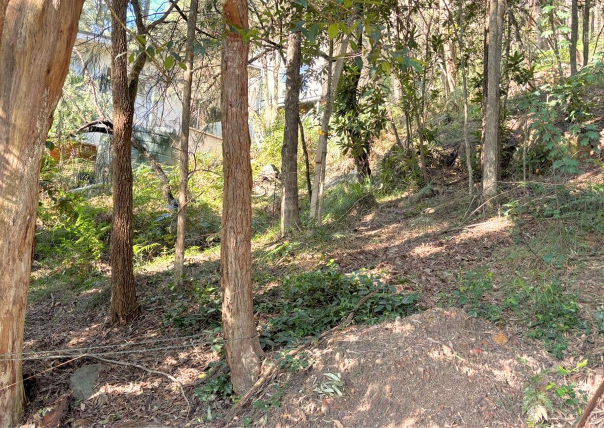 5/250 New South Head Road, Double Bay, Wendoree Park - Thumbnail 3