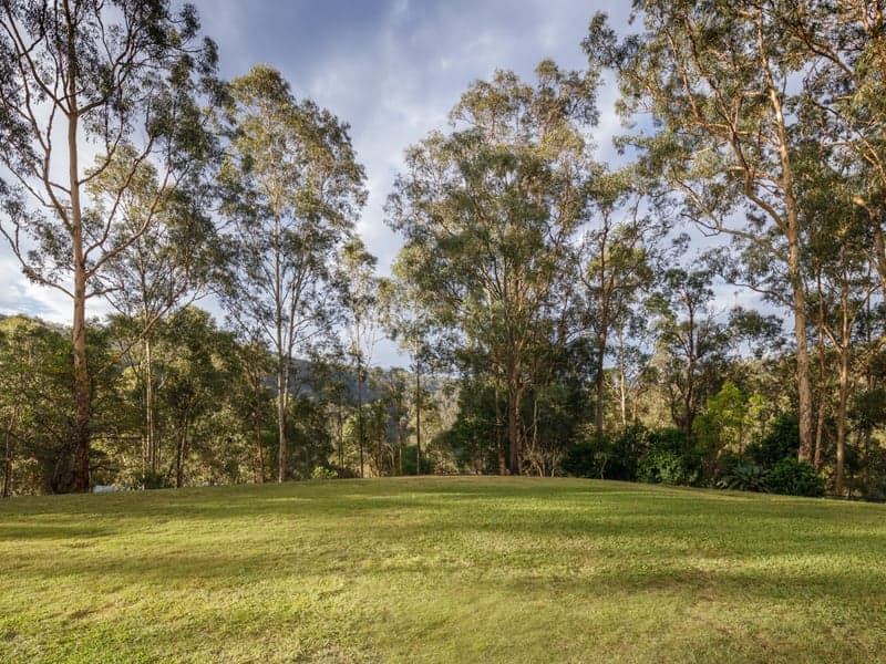 9 Tallowood Drive, Pullenvale - Thumbnail 6