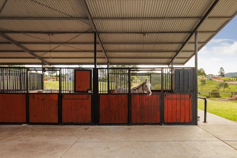 317 Grandview Road, Pullenvale - Thumbnail 4