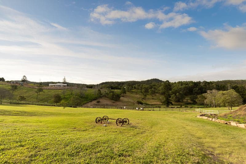 317 Grandview Road, Pullenvale - Thumbnail 5