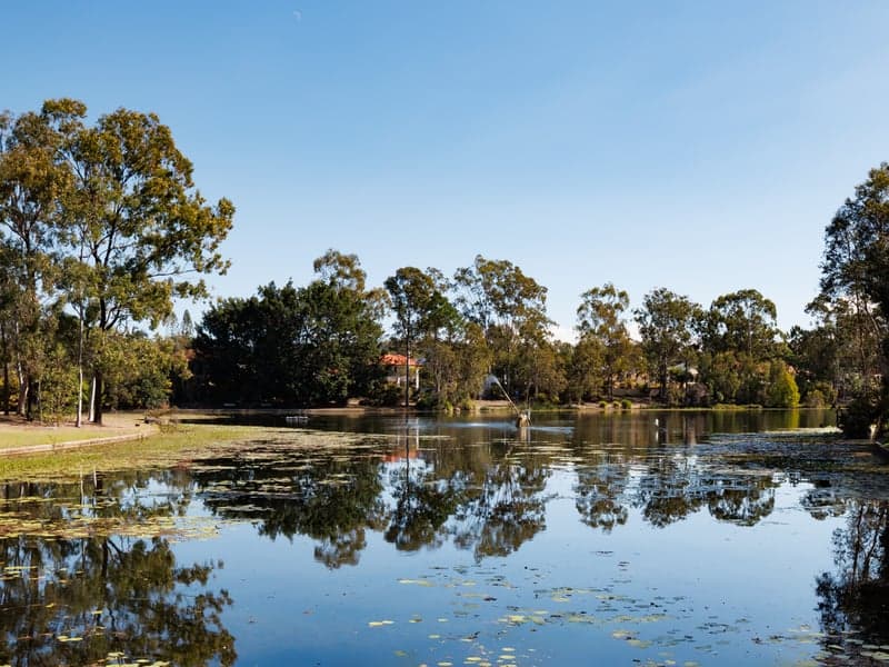 17 Montserrat Place, Forest Lake - Thumbnail 8