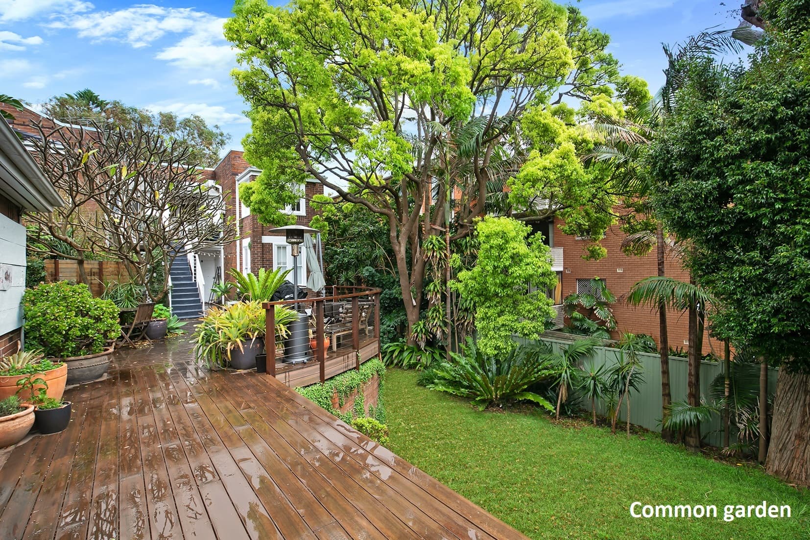 3/33 Denham Street, Bondi, Bondi - Thumbnail 5