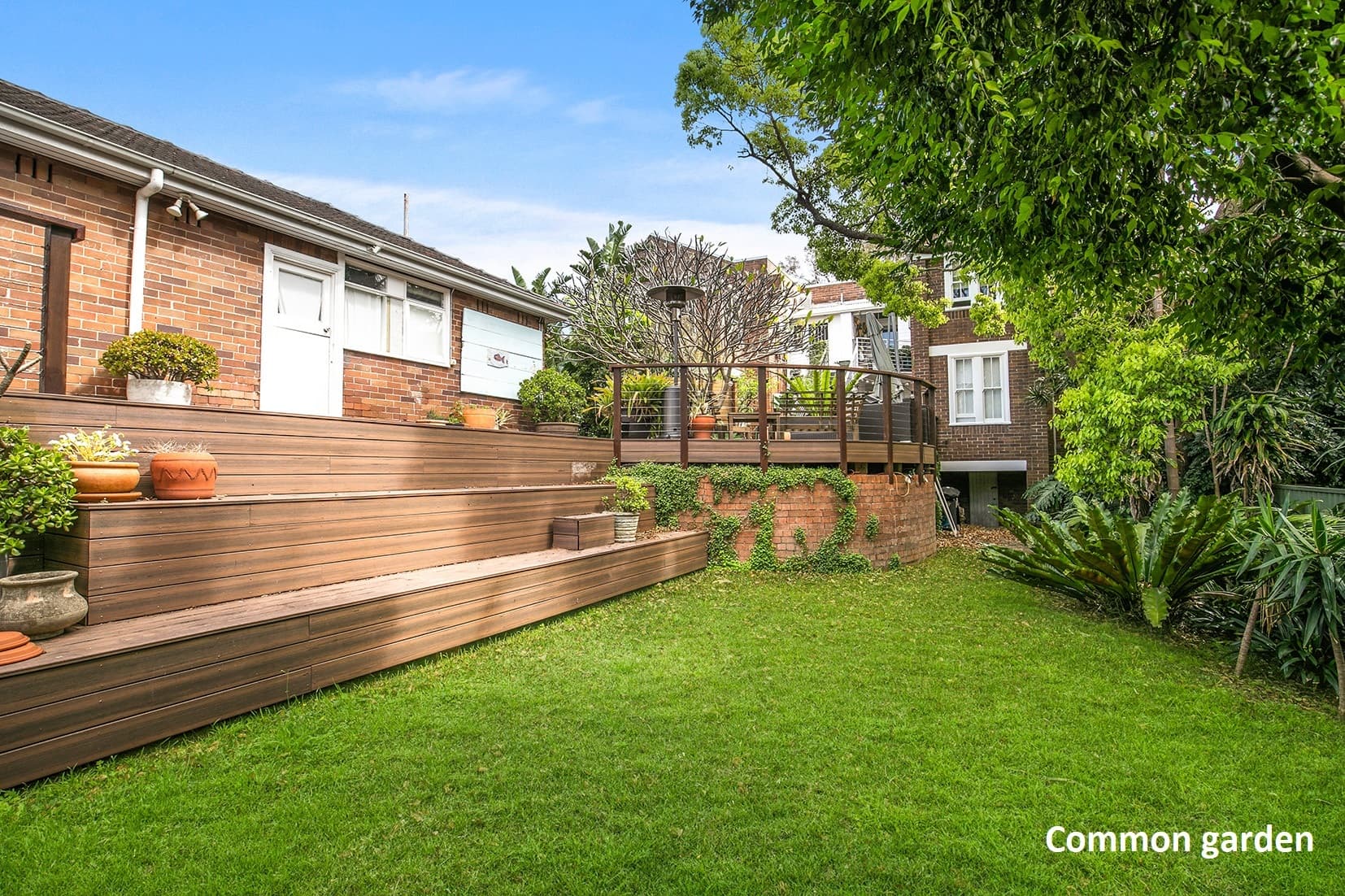 3/33 Denham Street, Bondi, Bondi - Thumbnail 6