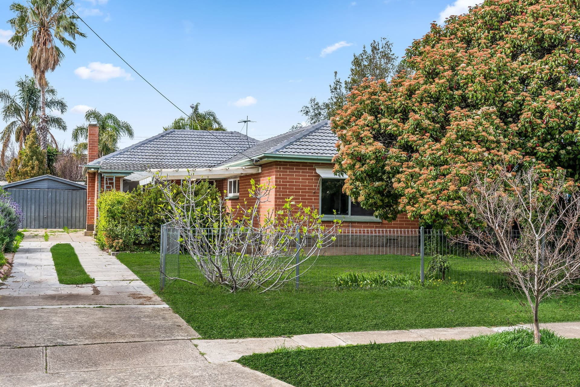 40 Lutana Crescent, Mitchell Park - Thumbnail 2