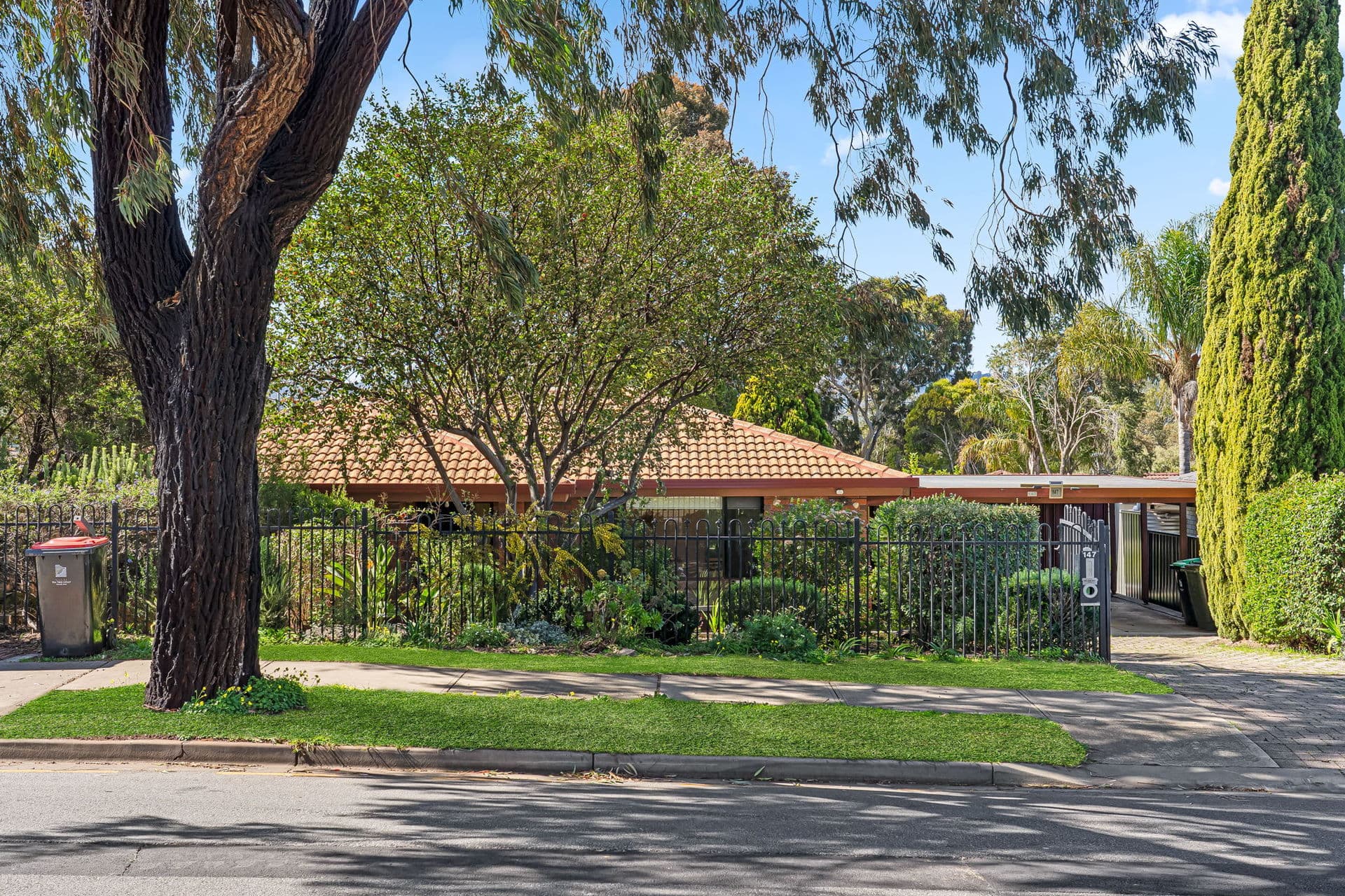 147 Ladywood Road, Modbury Heights - Image 1