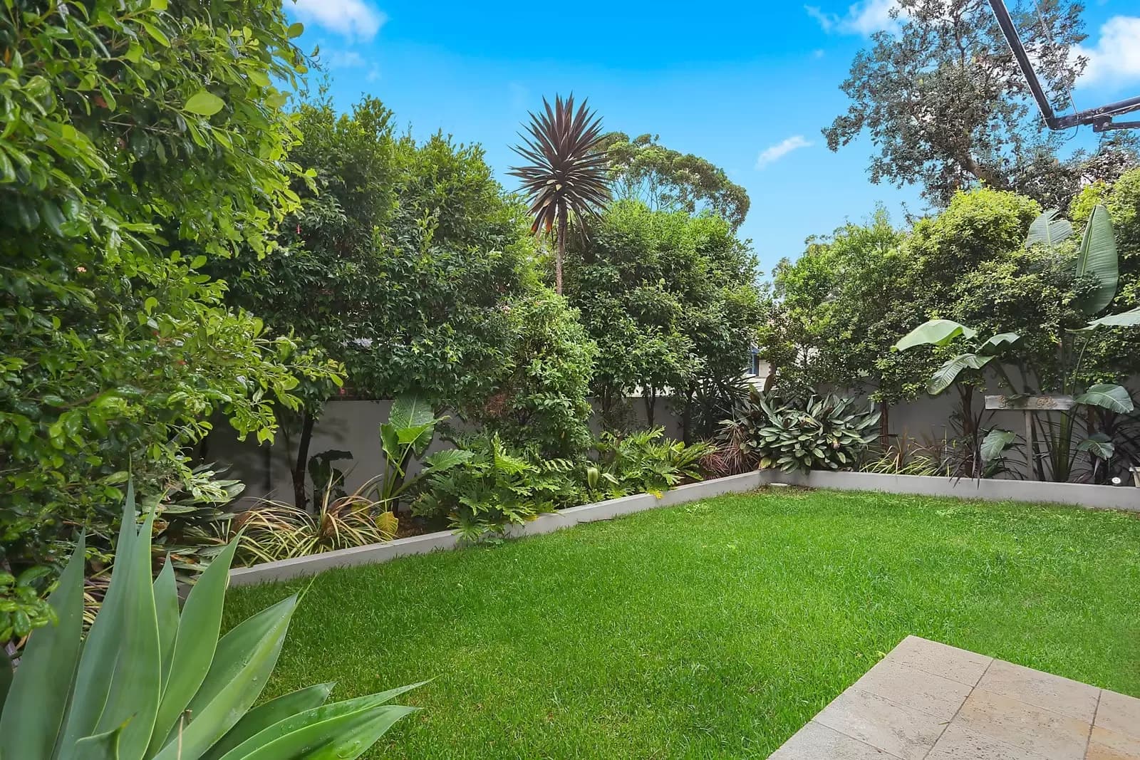 4/14 Albi Place, Randwick, Coogee - Thumbnail 8