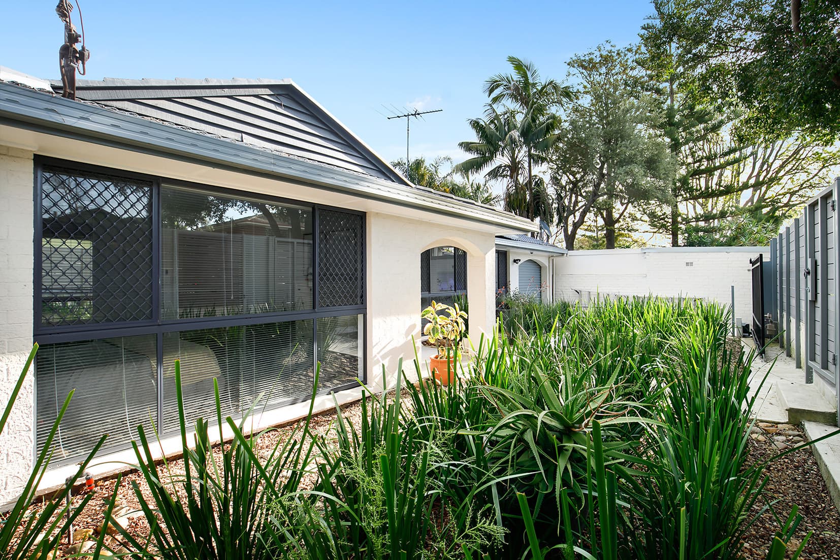 21 Bundock Lane, Randwick, Randwick - Thumbnail 5