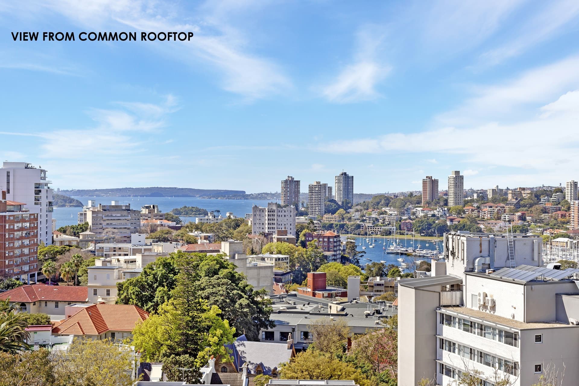 11/52 Kings Cross Road, Rushcutters Bay, Rushcutters Bay - Thumbnail 4
