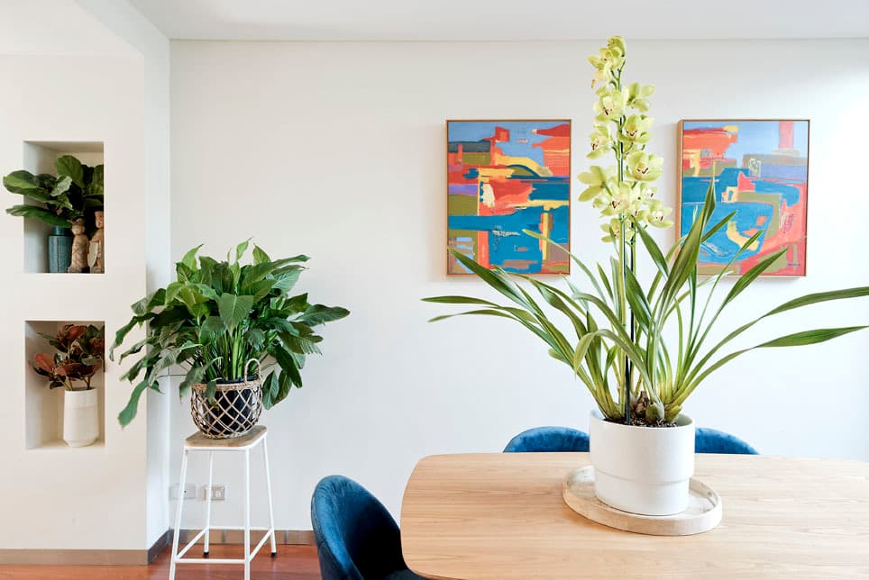 47 Rush Street, Woollahra, Woollahra - Thumbnail 8