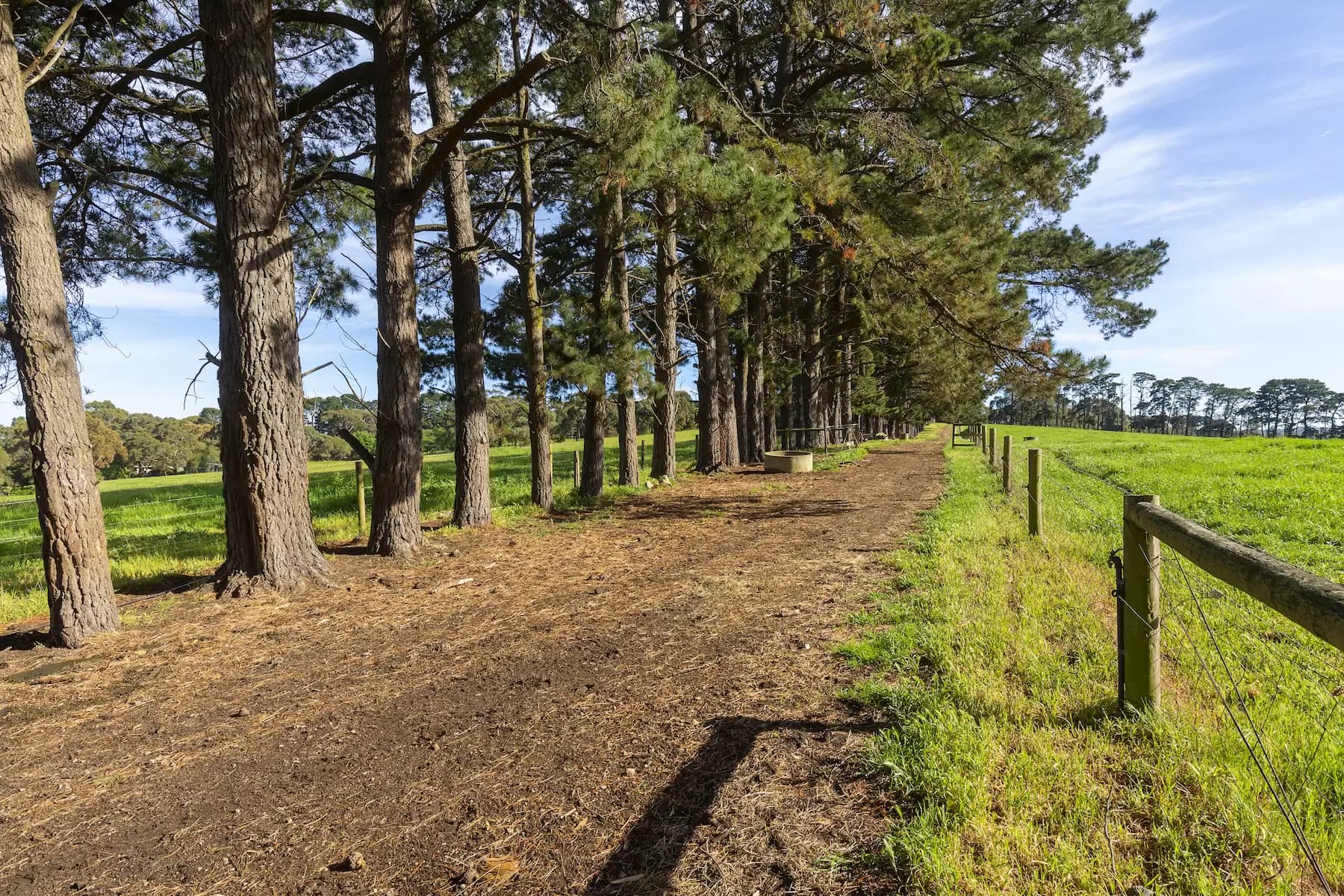 31/27 Bennelong Parkway, Wentworth Point, 2127, Coffs Harbour - Thumbnail 2