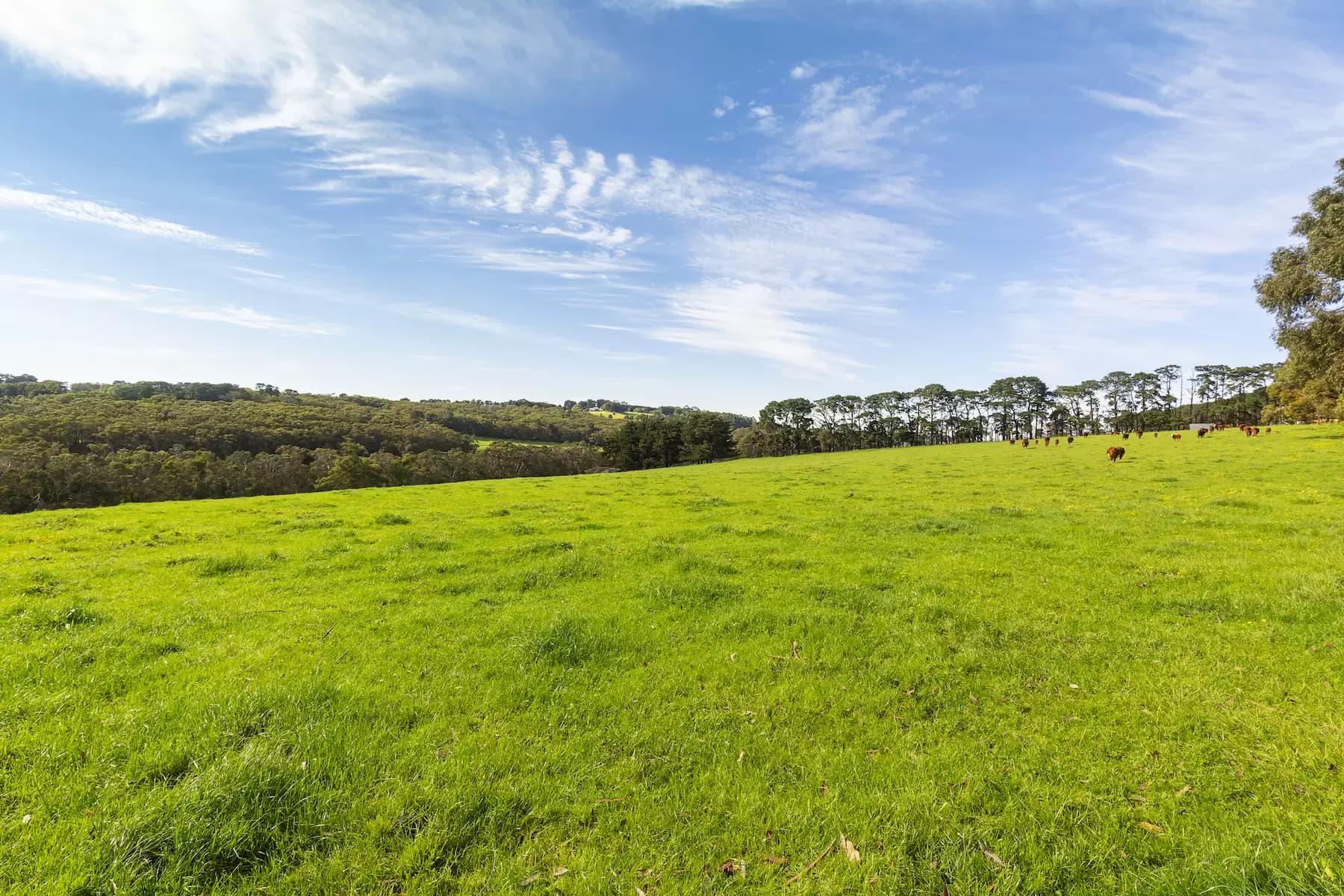 31/27 Bennelong Parkway, Wentworth Point, 2127, Coffs Harbour - Thumbnail 5