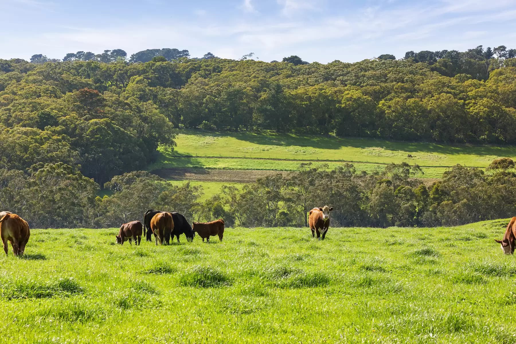 31/27 Bennelong Parkway, Wentworth Point, 2127, Coffs Harbour - Thumbnail 8