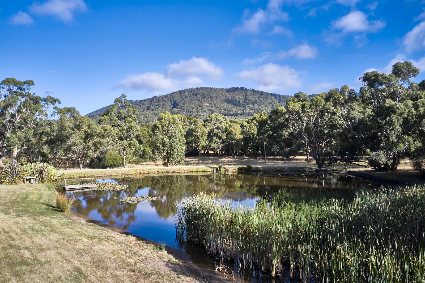 4/62 Raglan Street, Mosman, Coffs Harbour - Image 1
