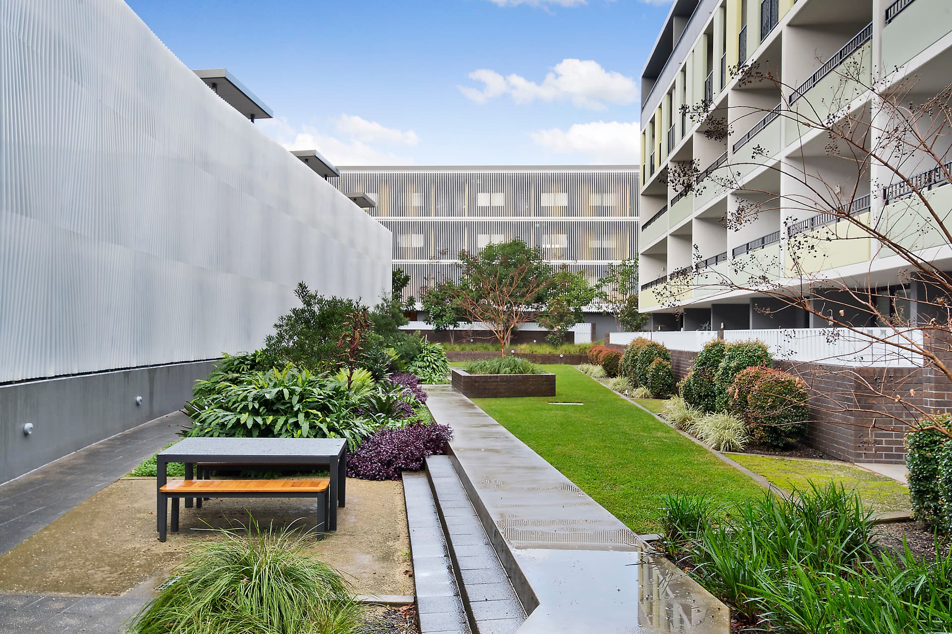 52/203 Barker Street, Randwick, Randwick - Thumbnail 5