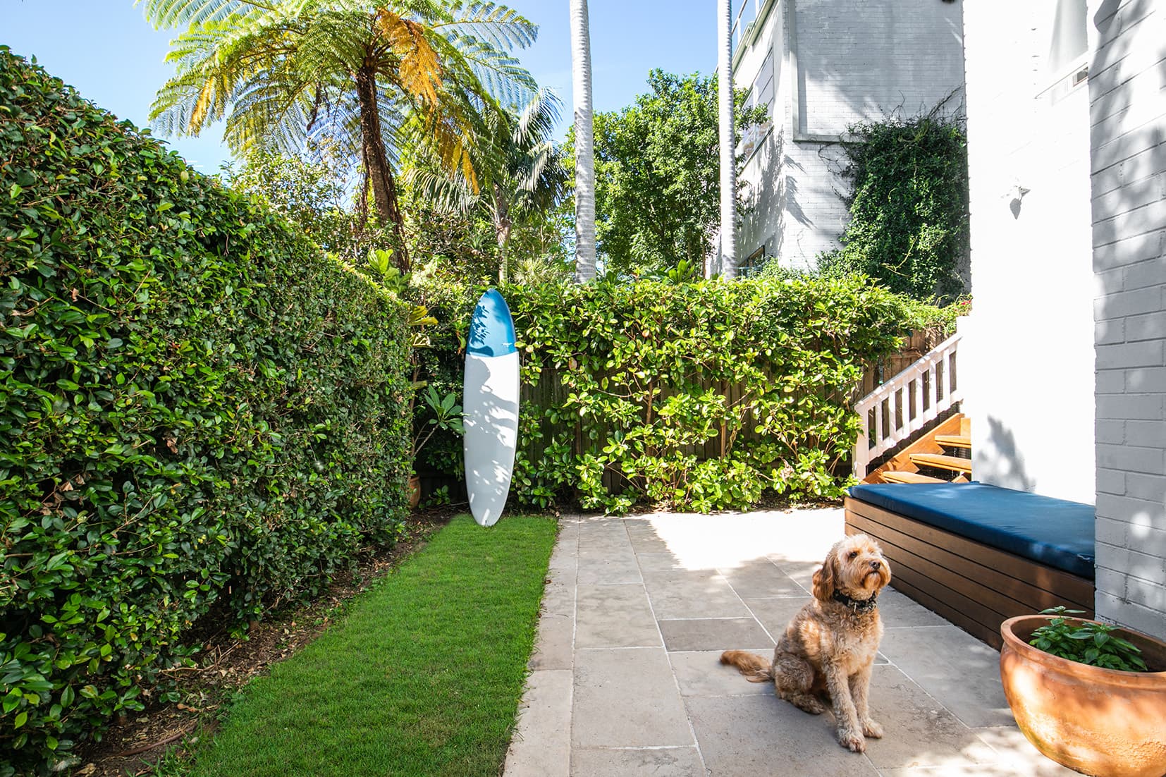 2/35 Edward Street, Bondi Beach, Eastlakes - Thumbnail 6