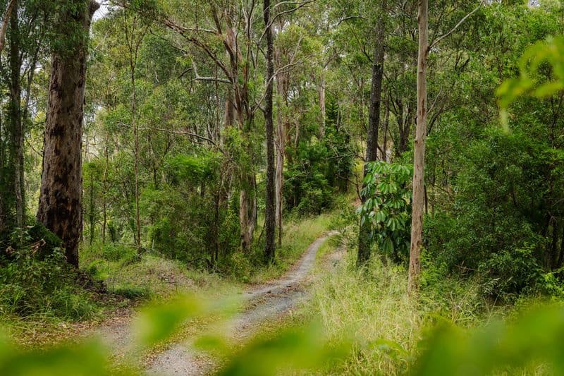 3/914 Upper Brookfield Road, Upper Brookfield - Thumbnail 3