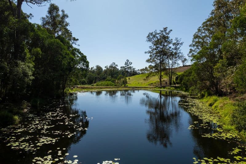 10/27-35 Cook  Road, Centennial Park, Centennial Park - Thumbnail 3