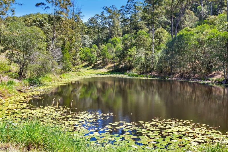 10/27-35 Cook  Road, Centennial Park, Centennial Park - Thumbnail 6