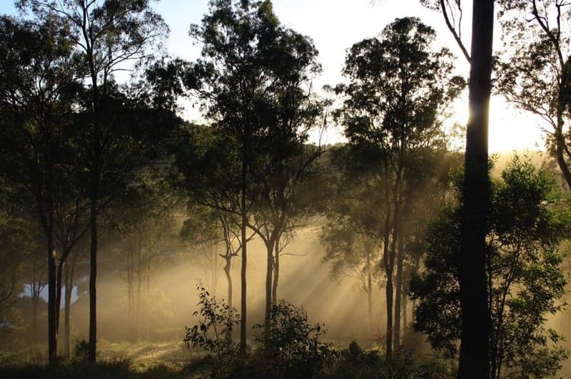 10/27-35 Cook  Road, Centennial Park, Centennial Park - Thumbnail 8