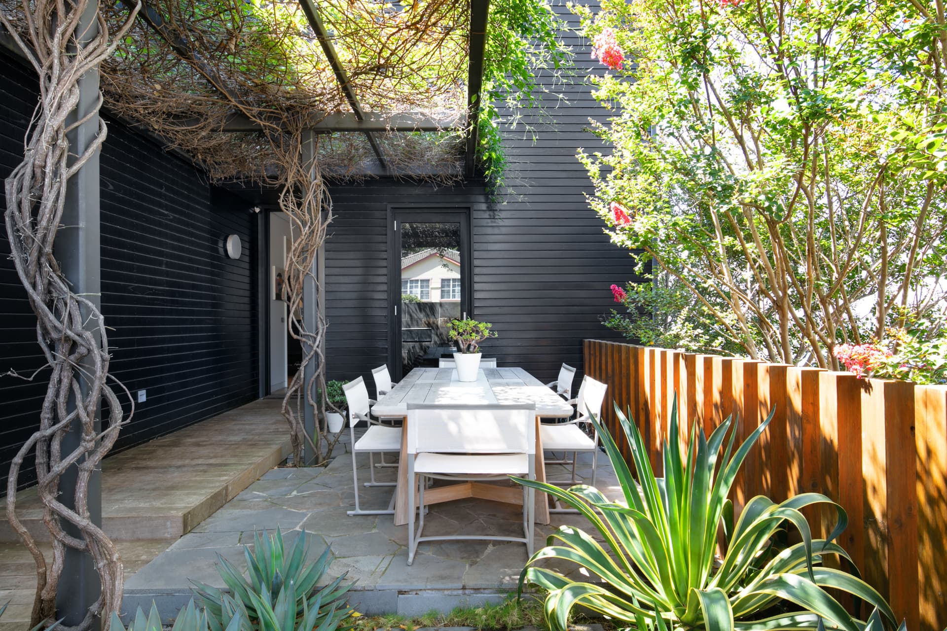 53 Knox Street Clovelly Nsw, Clovelly - Thumbnail 6