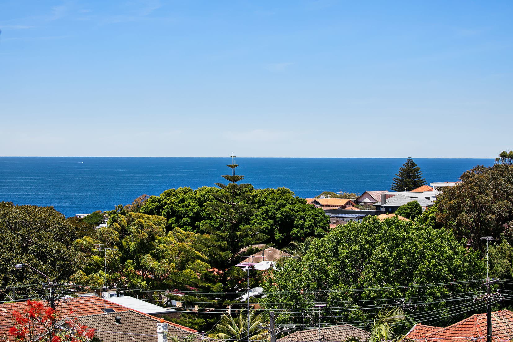 53 Knox Street Clovelly Nsw, Clovelly - Thumbnail 8