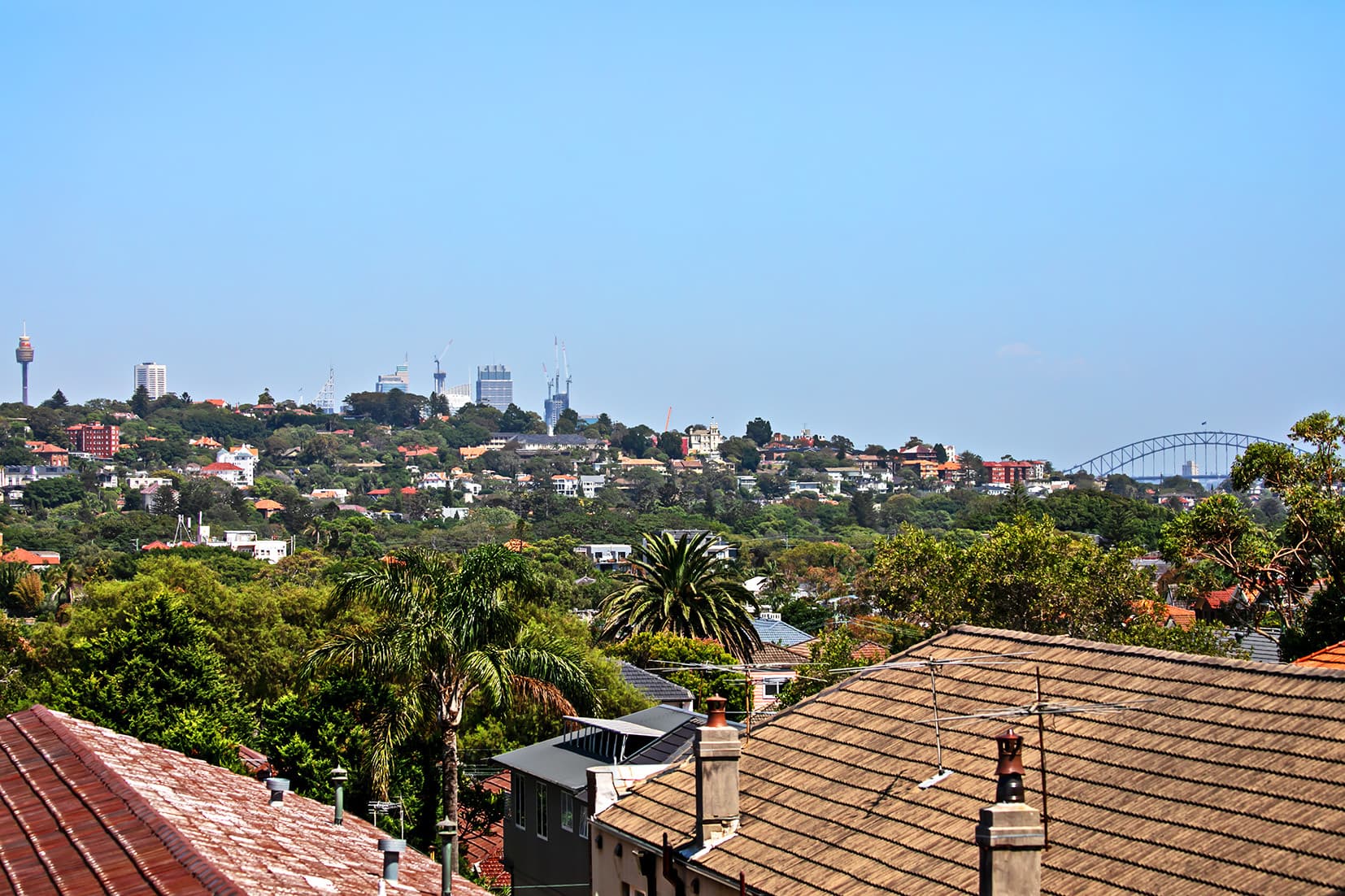11 Wairoa  Avenue, North Bondi, North Bondi - Thumbnail 7