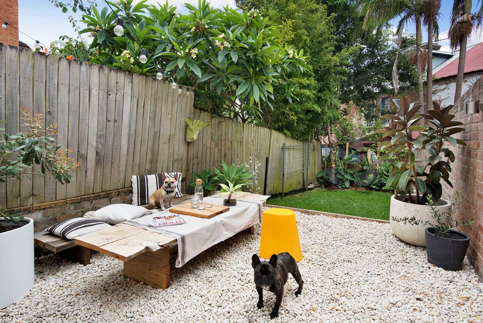 20 Little Comber Street, Paddington, Paddington - Thumbnail 3