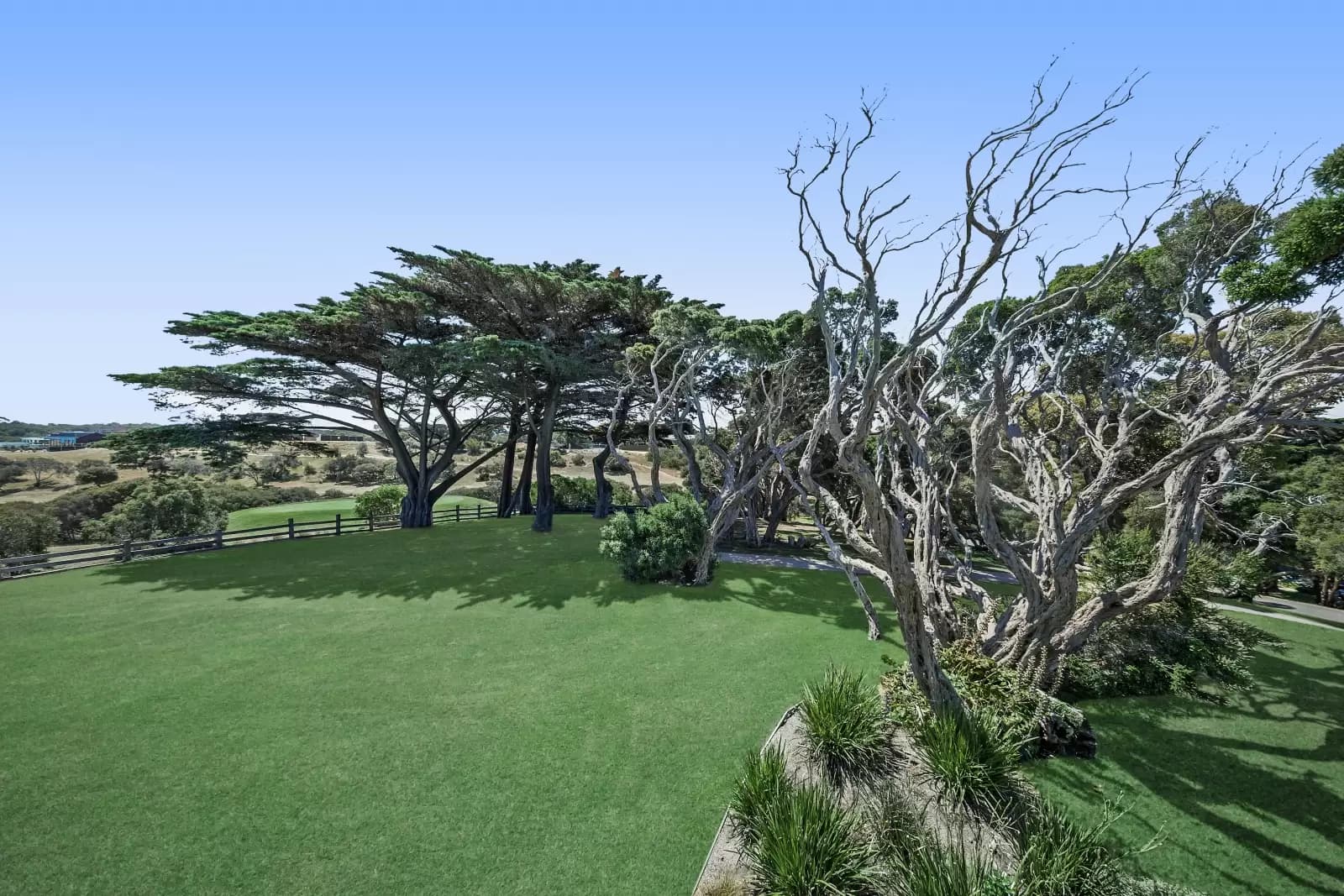 8/365 Miller Street, Cammeray, Cammeray - Thumbnail 7