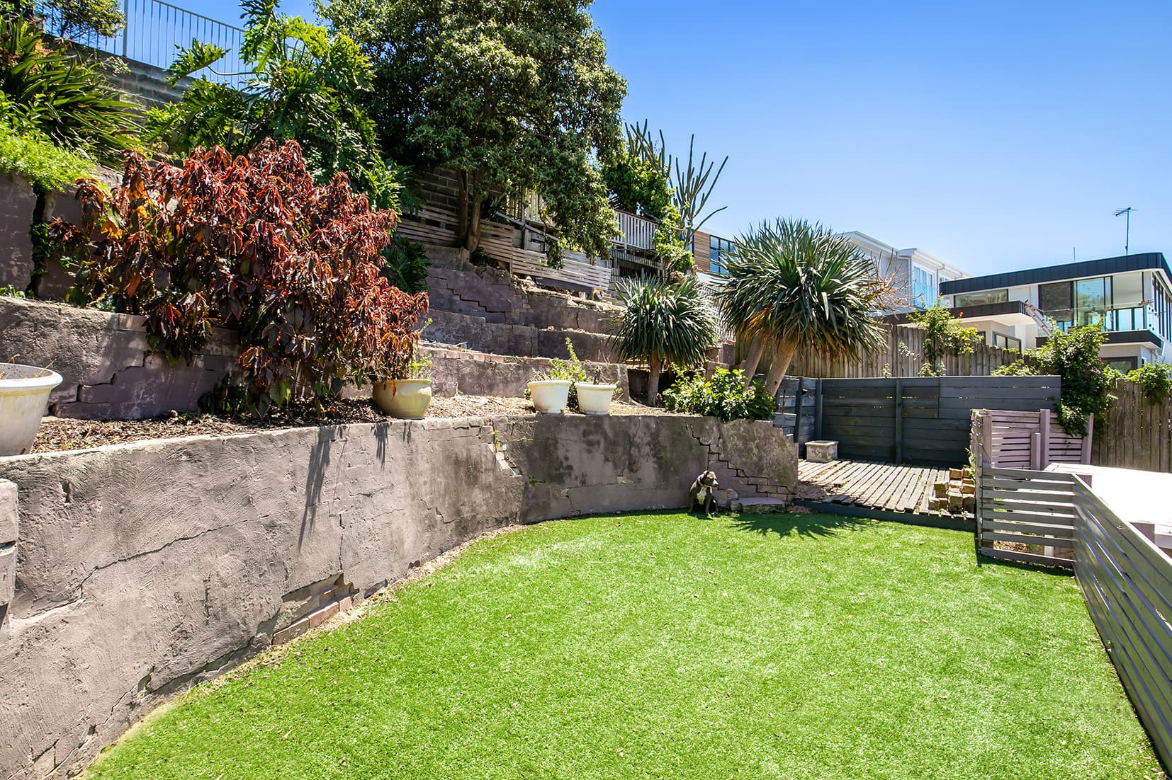 3 Reginald Avenue, Arana Hills, Arana Hills - Thumbnail 7