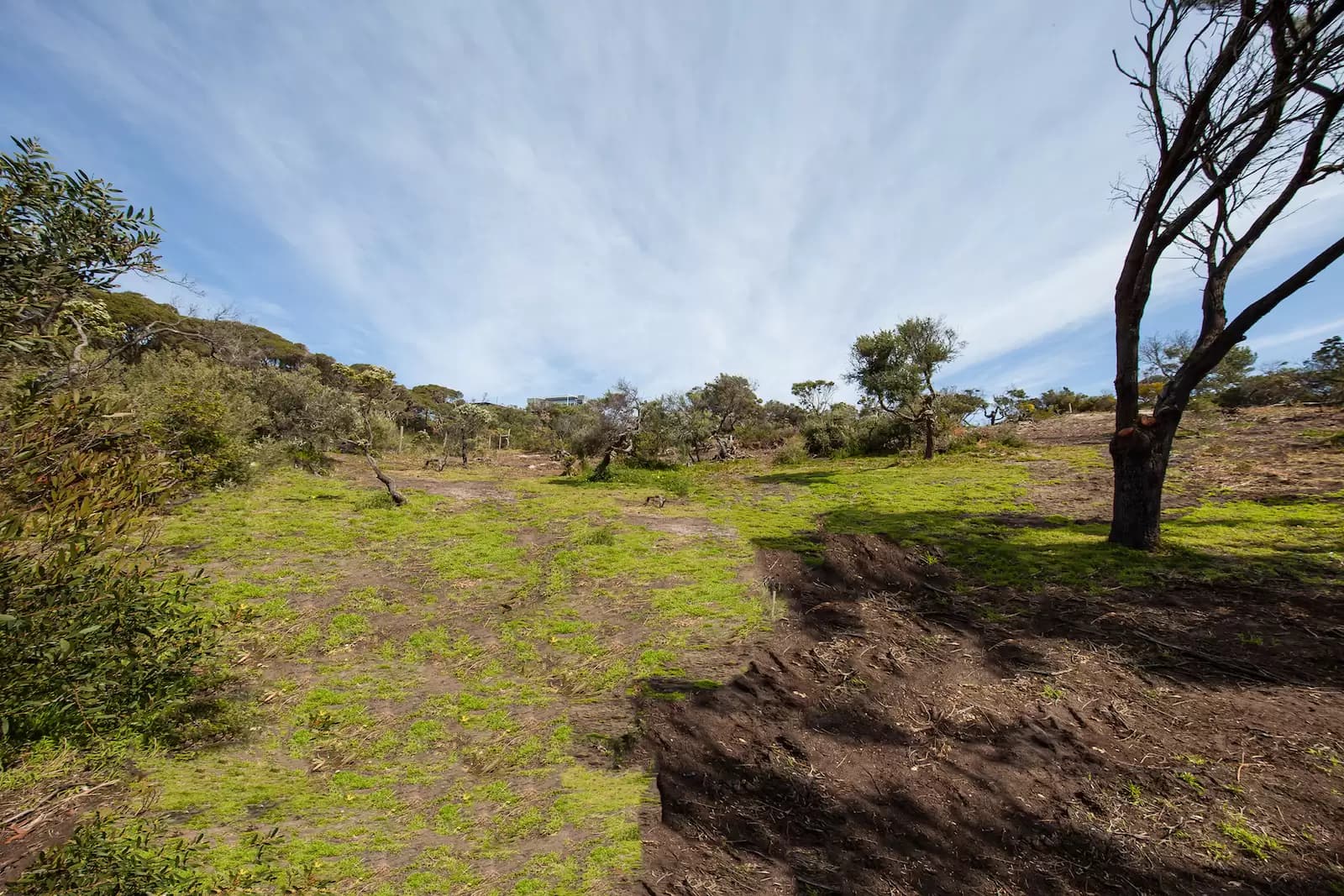 6/30 Chiswick Road, Coffs Harbour - Thumbnail 4