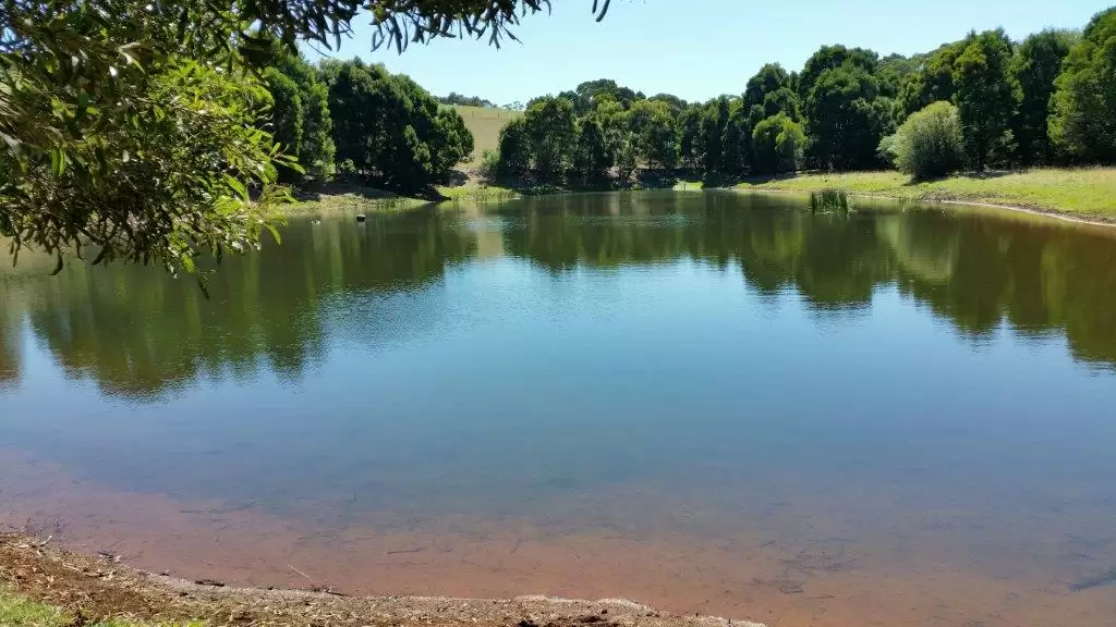 15/123 Arthur Street, Strathfield, Coffs Harbour - Thumbnail 3