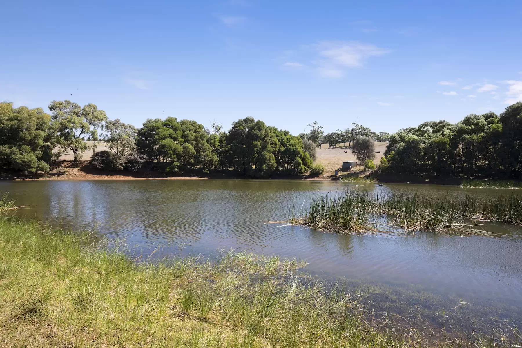 15/123 Arthur Street, Strathfield, Coffs Harbour - Thumbnail 4