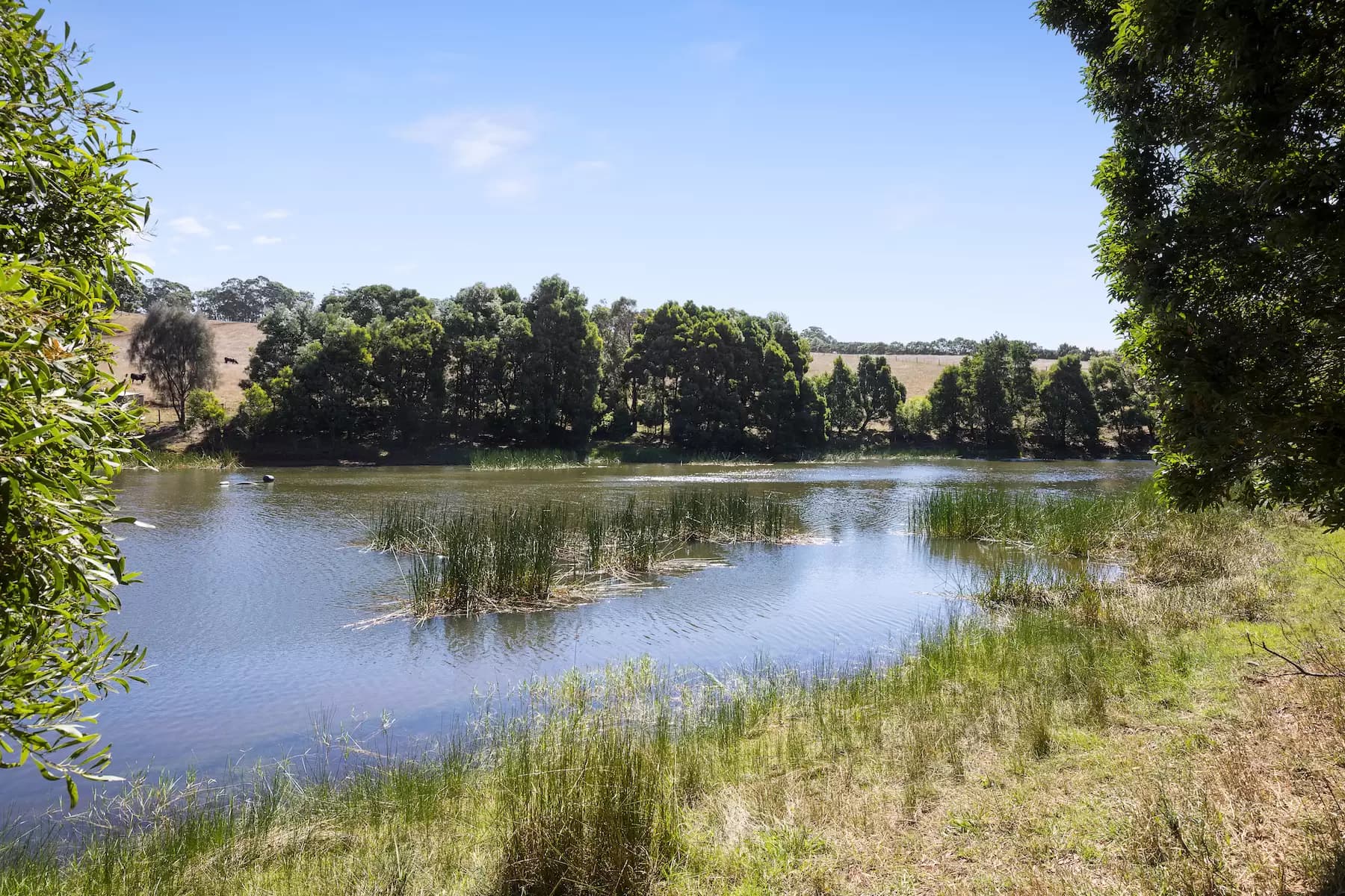 15/123 Arthur Street, Strathfield, Coffs Harbour - Thumbnail 5