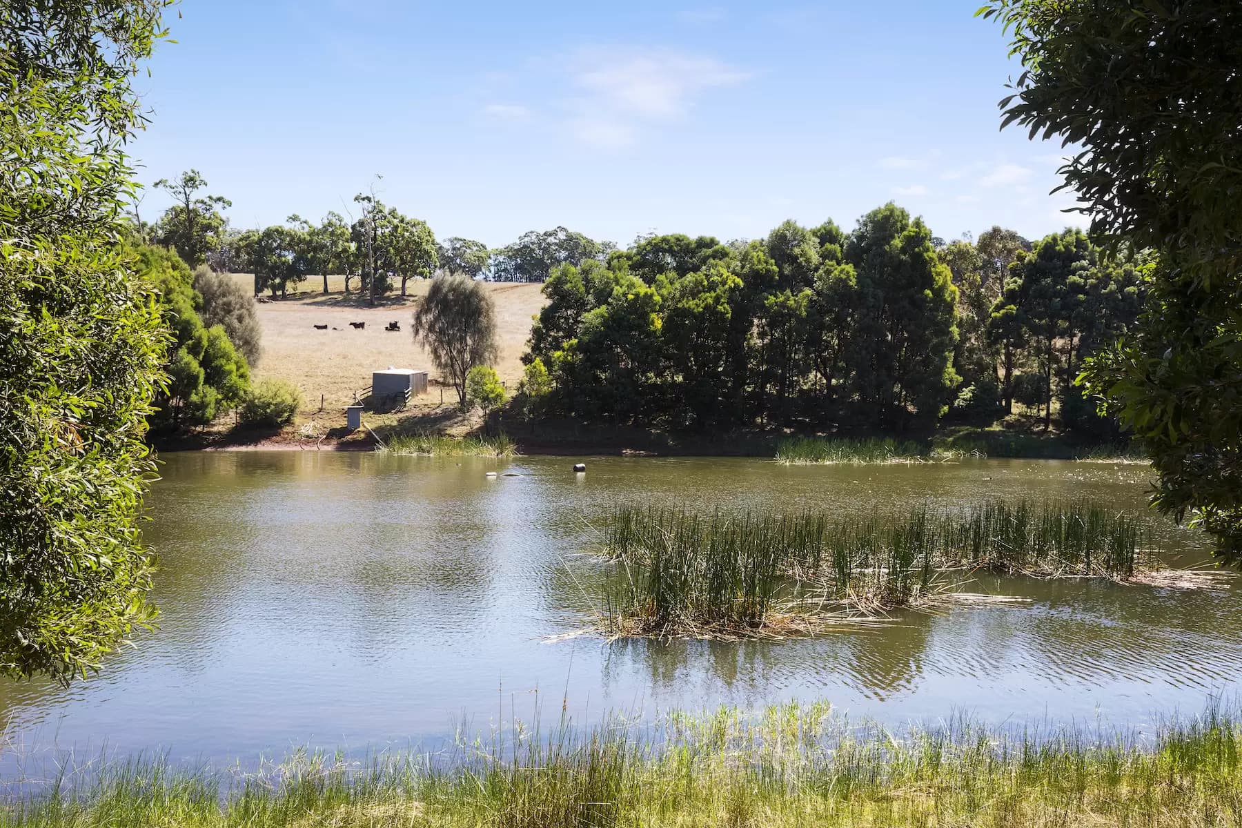 15/123 Arthur Street, Strathfield, Coffs Harbour - Thumbnail 6