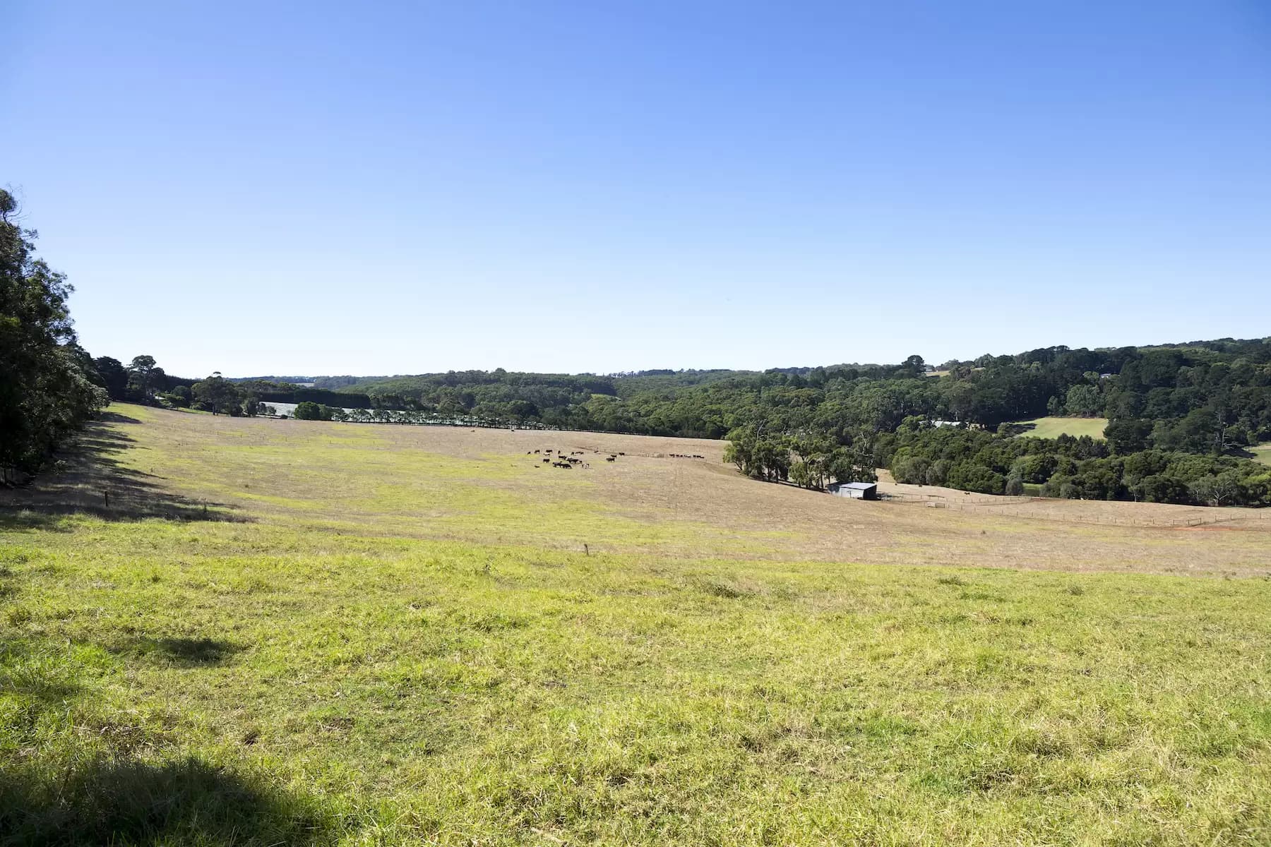 15/123 Arthur Street, Strathfield, Coffs Harbour - Thumbnail 7