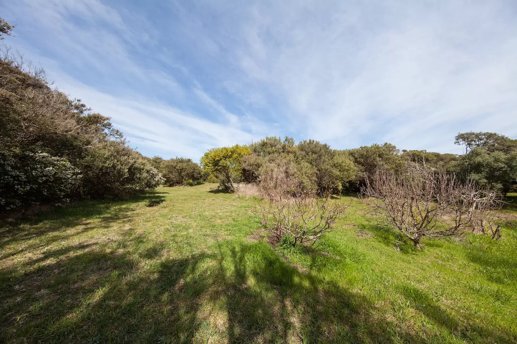 7/550 Punchbowl Road, Coffs Harbour - Thumbnail 3