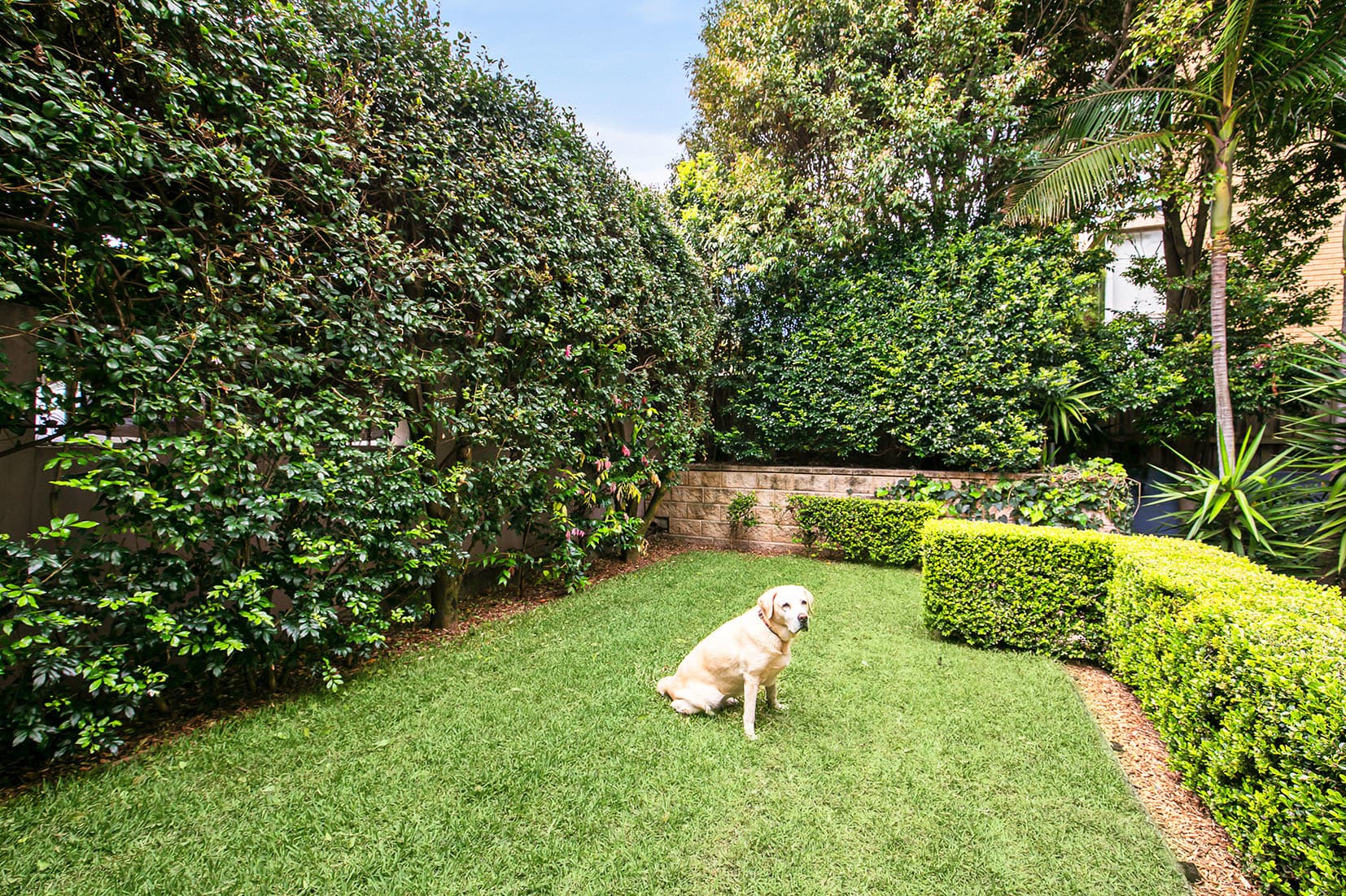 1/137 Blair  Street, North Bondi, Mitchelton - Thumbnail 8
