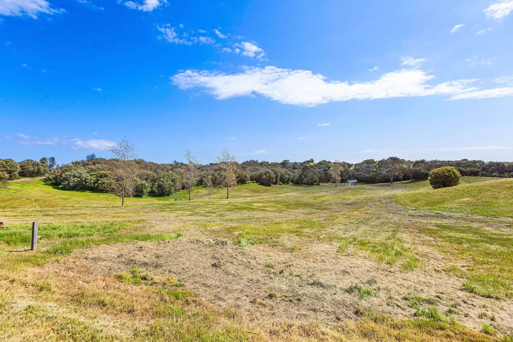 4/60 Raglan Street, Mosman, Concord West - Thumbnail 5