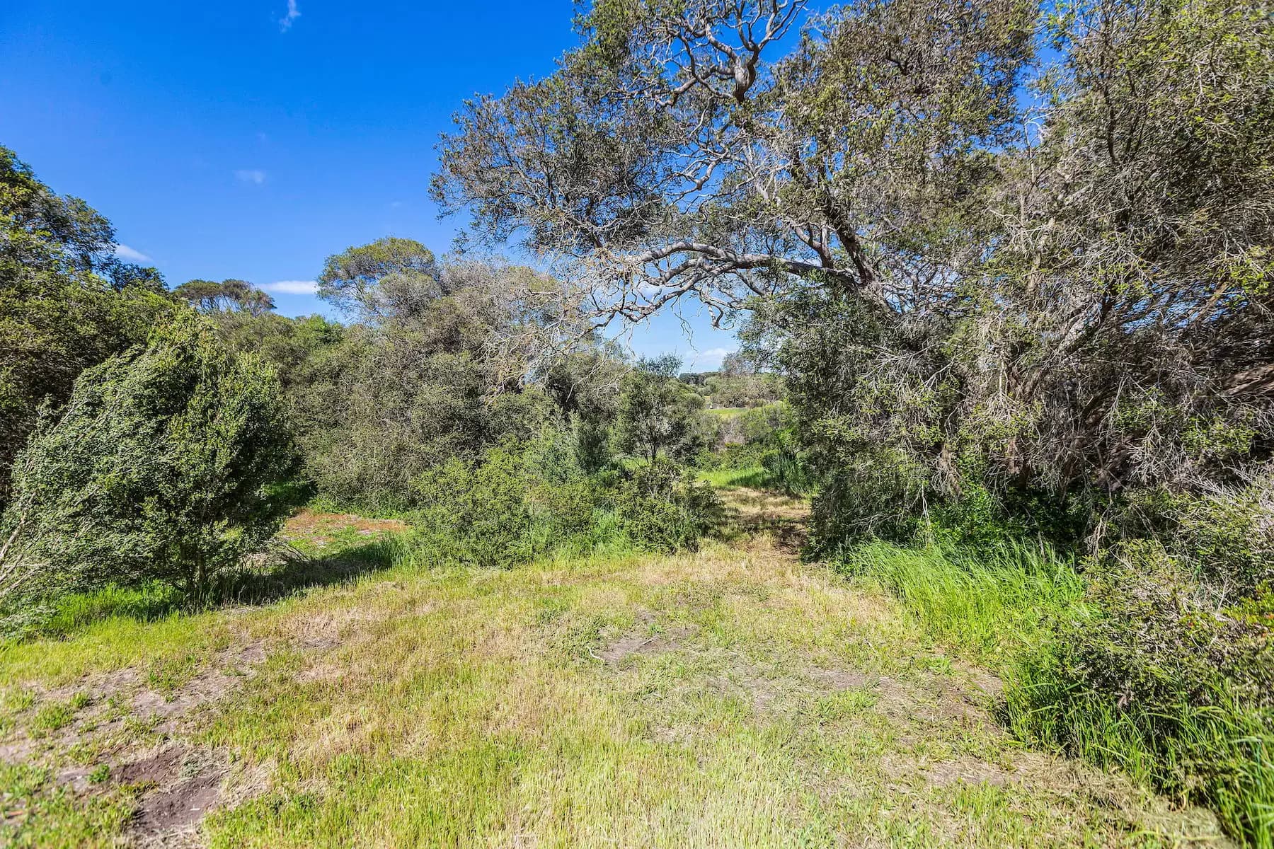 4/60 Raglan Street, Mosman, Concord West - Thumbnail 6