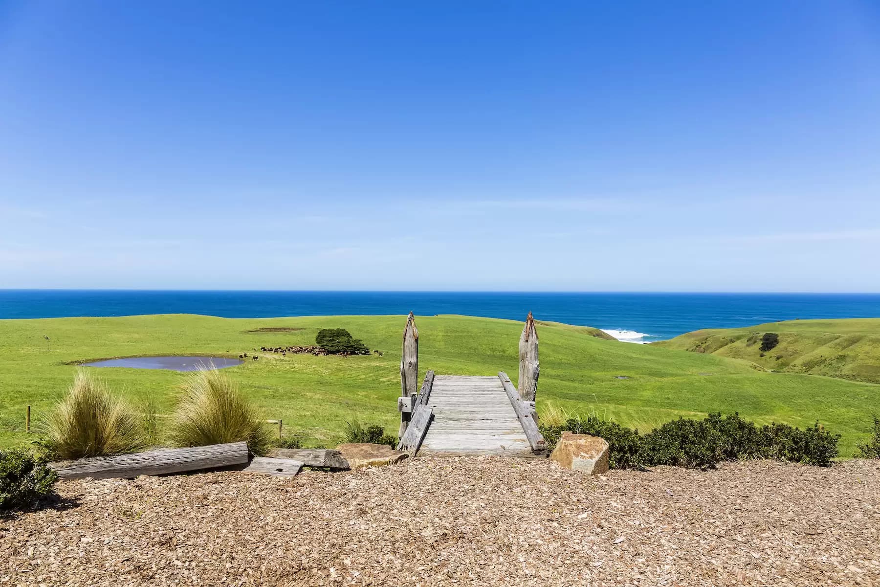 32/114 Spit Road, Mosman - Thumbnail 4