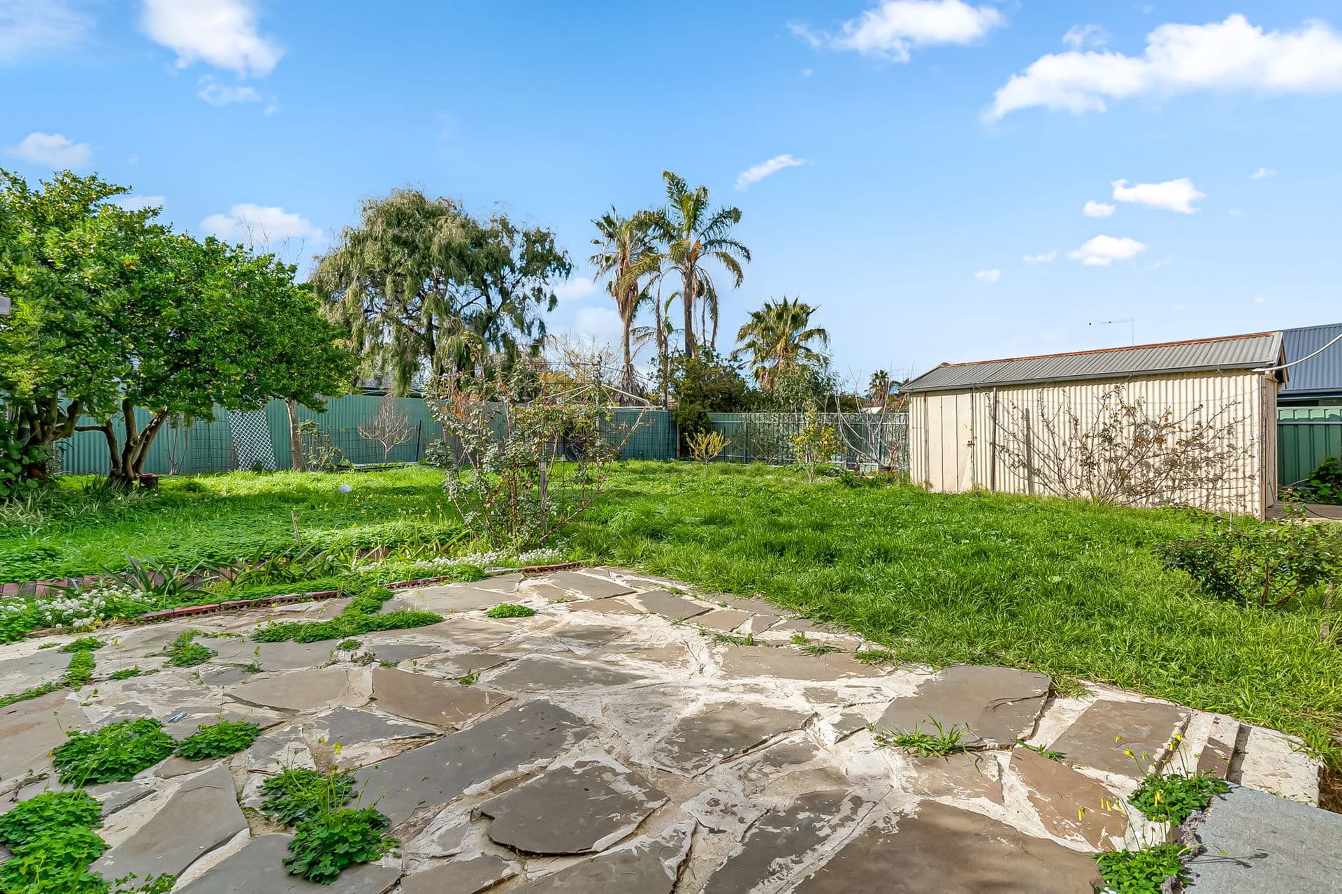 126 Brodie Road, Morphett Vale - Thumbnail 5