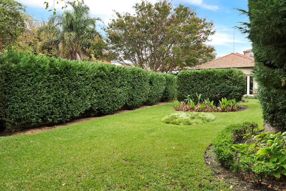 9 Classic Drive, Prospect Vale, Prospect Vale - Thumbnail 7