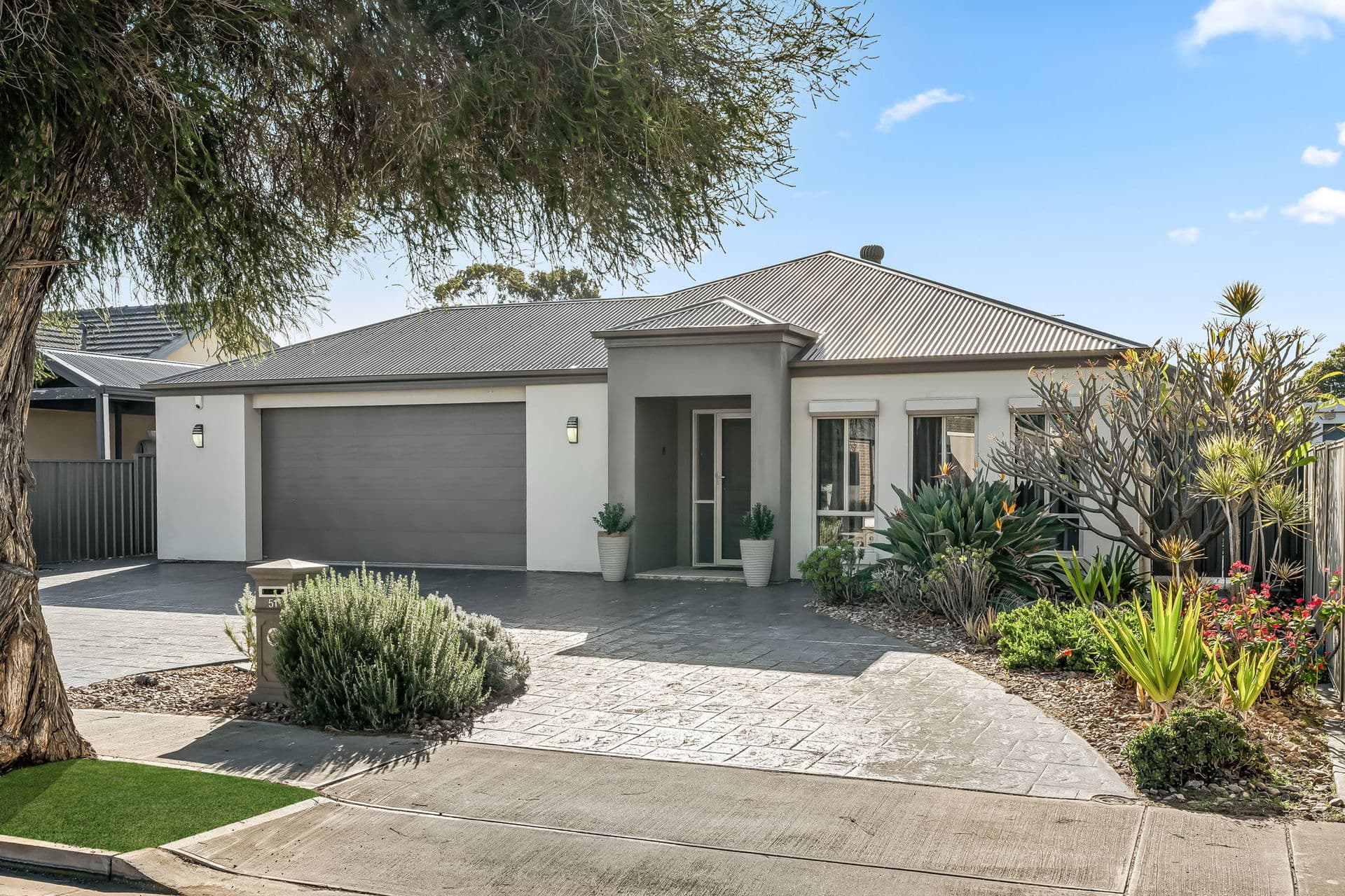 51 Patricia Avenue, Camden Park - Image 1