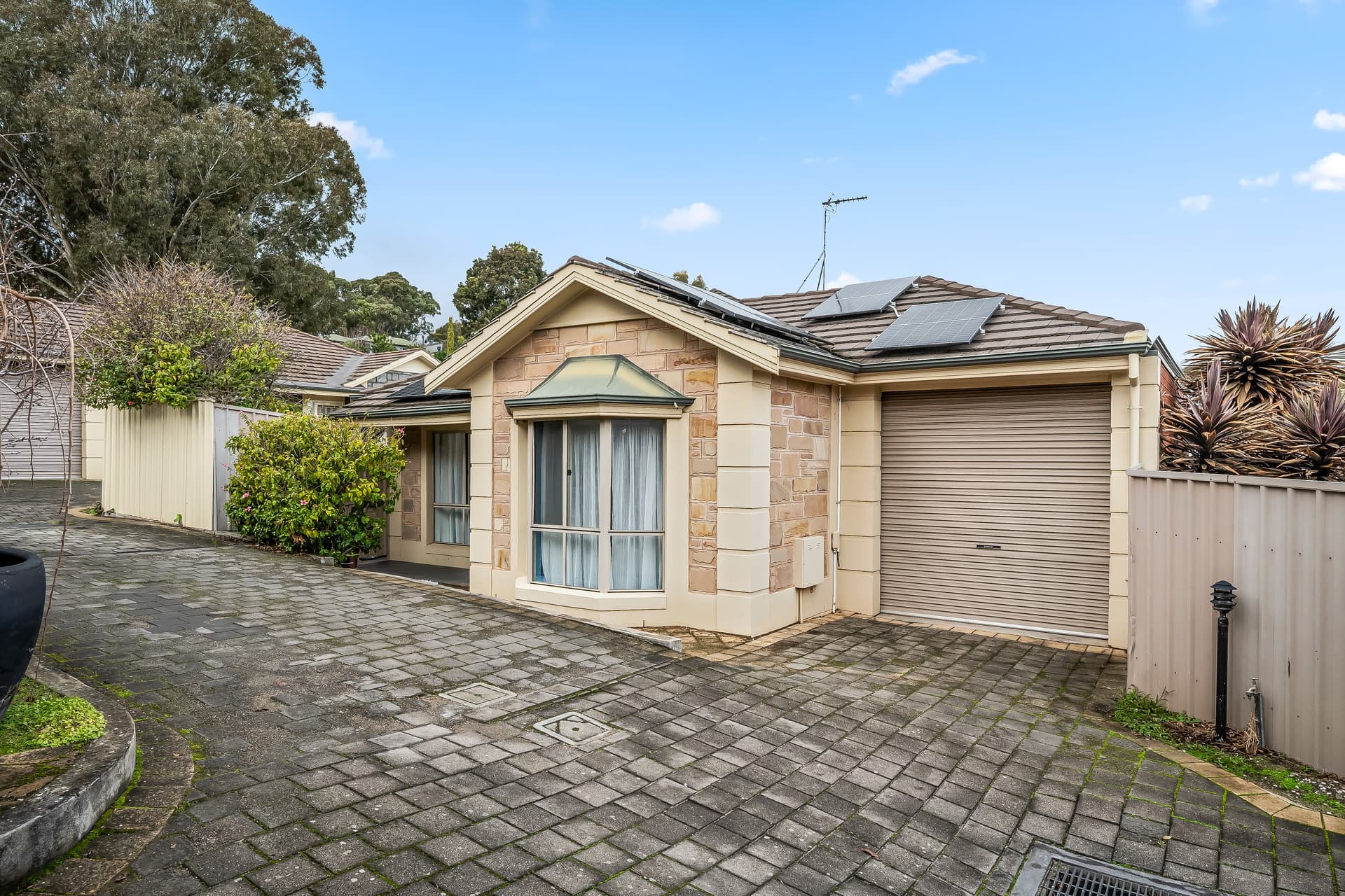 6/2A Greer Place, Magill - Thumbnail 2