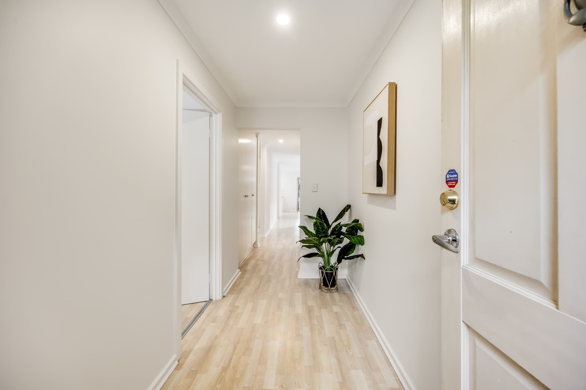 41 McInerney Avenue, Mitchell Park - Thumbnail 2