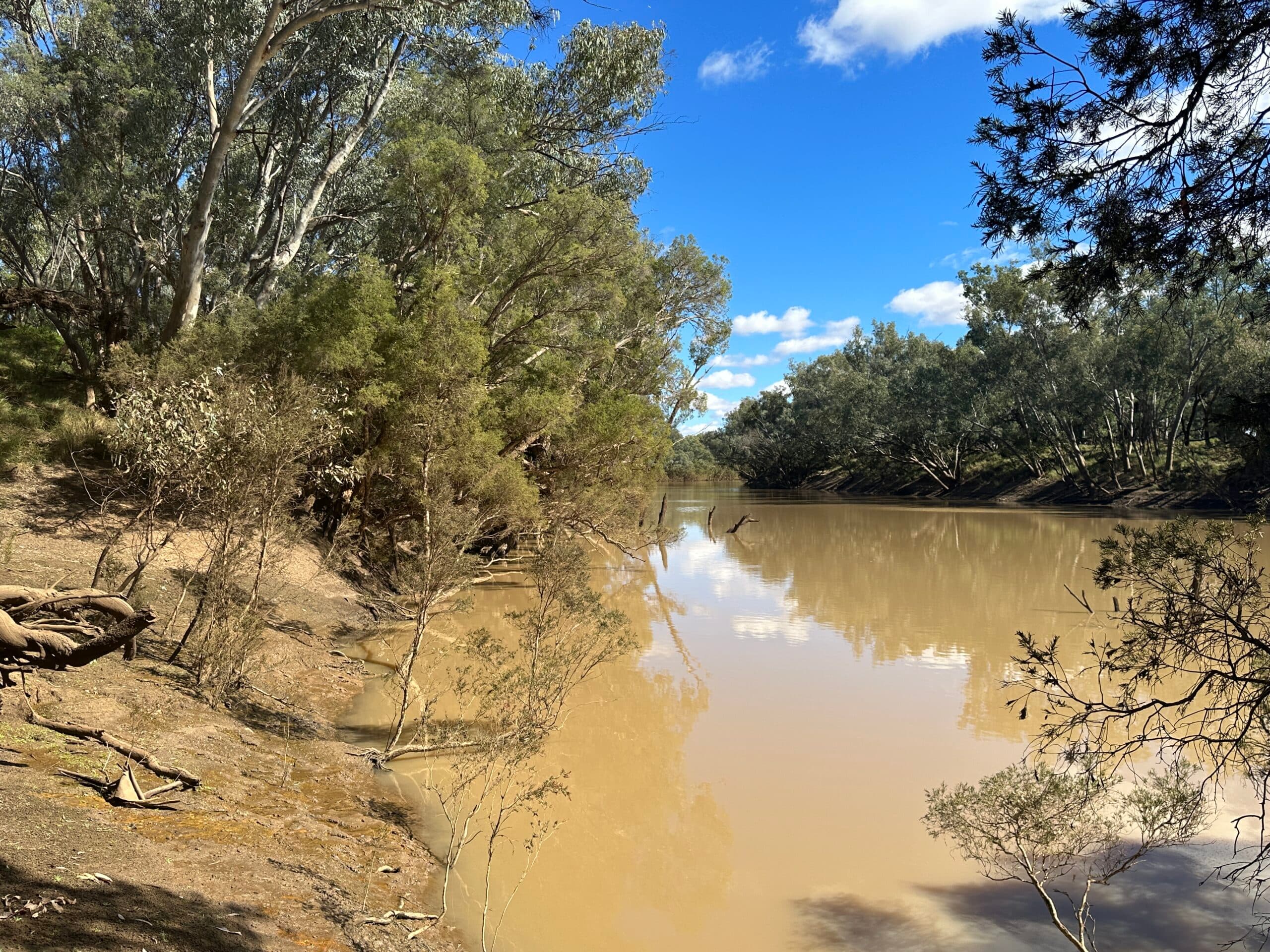 7/1 Wride Street, Tarneit - Thumbnail 3