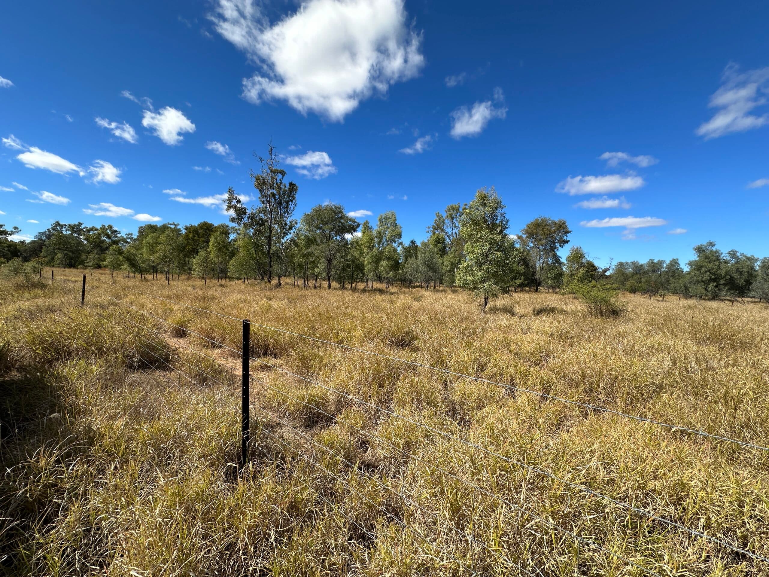 7/1 Wride Street, Tarneit - Thumbnail 4